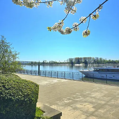 Apartment La Tour D'harfleur 2 Caudebec-en-Caux